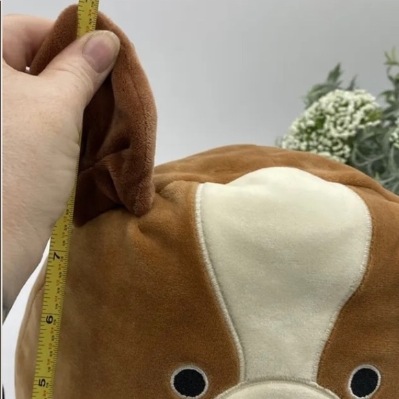 Squishmallow Dog Bernie the St Bernard HARD TO FIND 9” Stuffed Animal Dog Brown - Picture 7 of 9